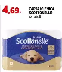 Scottonelle - Carta Igienica Scottonelle - Carta Igienica