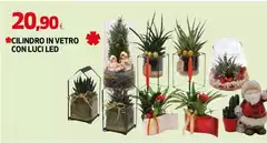 Clindro In Vetro Con Luci Led