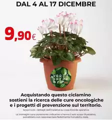 Solo - Acquistando Questo Ciclamino Sosteni La Ricera Delle Cure Oncologiche E I Progetti Di Prevenzione Sul Territorio Solo - Acquistando Questo Ciclamino Sosteni La Ricera Delle Cure Oncologiche E I Progetti Di Prevenzione Sul Territorio