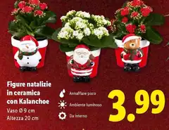 Figure Natalizie In Ceramica Con Kalanchoe