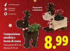 Composizione Natalizia A Forma Di Renna