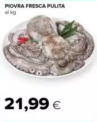 Piovra Fresca Pulita Piovra Fresca Pulita
