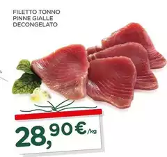 Filetto Tonno Pinne Gialle Decongelato Filetto Tonno Pinne Gialle Decongelato