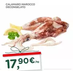 Calamaro Marocco Decongelato Calamaro Marocco Decongelato