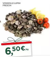 Vongole/Lupini Freschi Vongole/Lupini Freschi