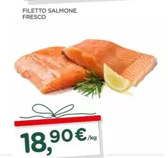 Filetto Salmone Fresco Filetto Salmone Fresco