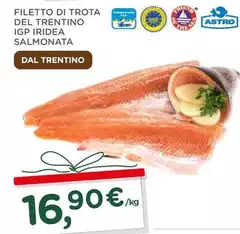 Trentino - Filetto Di Trota Del IGP Iridea Salmonata Trentino - Filetto Di Trota Del IGP Iridea Salmonata