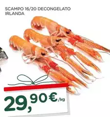 Scampo 16/20 Decongelato Irlanda Scampo 16/20 Decongelato Irlanda
