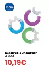 Mam - Dentaruolo Bite&brush Mam - Dentaruolo Bite&brush