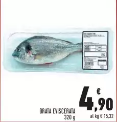 Orata Eviscerata Orata Eviscerata