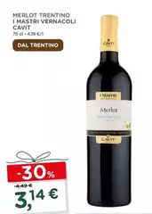 Cavit - Merlot Trentino I Mastri Vernacoli Cavit - Merlot Trentino I Mastri Vernacoli