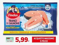 Findus - Tranci Di Salmone Findus - Tranci Di Salmone