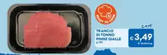 Trancio Di Tonno Pinne Gialle