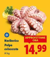 Noribèrica - Polpo Eviscerato Noribèrica - Polpo Eviscerato