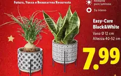 Easy-Care Black&White Easy-Care Black&White