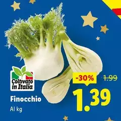 Finocchio Finocchio