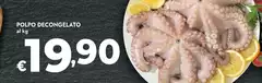 Polpo Decongelato Polpo Decongelato