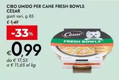 Cesar - Cibo Umido Per Cane Fresh Bowls Cesar - Cibo Umido Per Cane Fresh Bowls