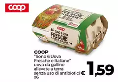 Coop - "Sono 6 Uova Fresche E Italiane" Uova Da Galline Allevate A Terra Senza Uso Di Antibiotici