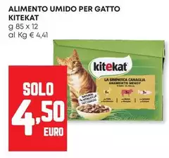 Kitkat - Alimento Umido Per Gatto