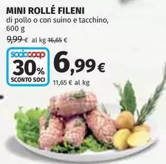 Fileni - Mini Rolle