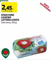 Latteria livigno - Stracchino Lovatino