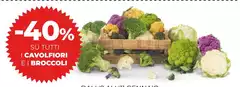 Su - Tutti I Cavolfiori E I Broccoli Su - Tutti I Cavolfiori E I Broccoli