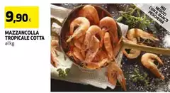 Mazzancolla Tropicale Cotta