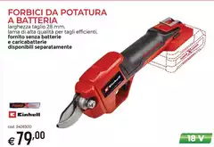 Einhell - Forbici Da Potatura A Batteria