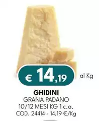 Grana Padano -