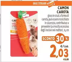 Camon - Carota