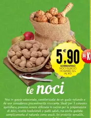 Sorrentino - Noci Guscio Howard