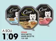 Cesar - Vaschette