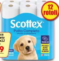 Scottex -  Pulito Completo