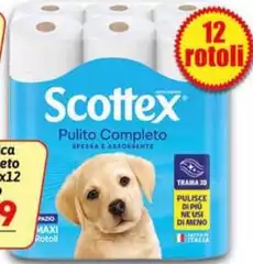 Scottex - Pulito Completo Spesera Assortiente