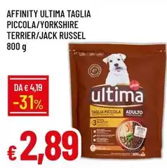Ultima - Affinity Taglia Piccola/yorkshire Terrier/jack Russel