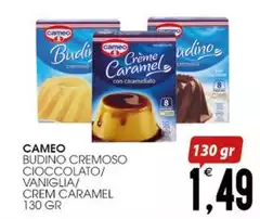 Cameo - Budino Cremoso Cioccolato/Vaniglia/Crem Caramel