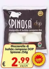 Spinosa - Mozzarella Di Bufala Campana DOP