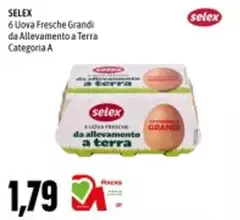 Selex - 6 Uova Fresche Grandi Da Allevamento A Terra Categoria A