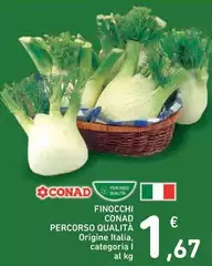 Conad - Finocchi Percorso Qualità