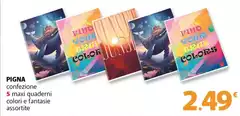 Pigna - Confezione 5 Maxi Quaderni Colori E Fantasie Assortite Pigna - Confezione 5 Maxi Quaderni Colori E Fantasie Assortite