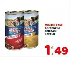 Morando - Miglior Cane Bocconcini