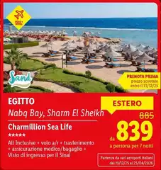 Charmillion Sea Life Charmillion Sea Life