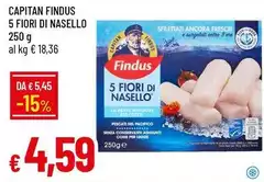 Findus - Capitan 5 Fiori Di Nasello Findus - Capitan 5 Fiori Di Nasello