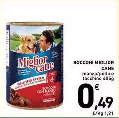 Morando - Bocconi Miglior Cane