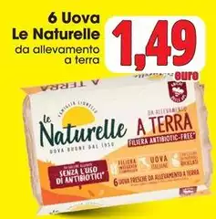 Le Naturelle - 6 Uova