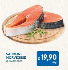 Salmone Norvegese