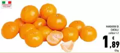 Mandarini Di Ciaculli