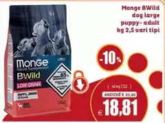 Monge -  Bwild Dog Large Puppy-adult
