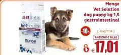 Vet - Monge  Solution Dog Puppy